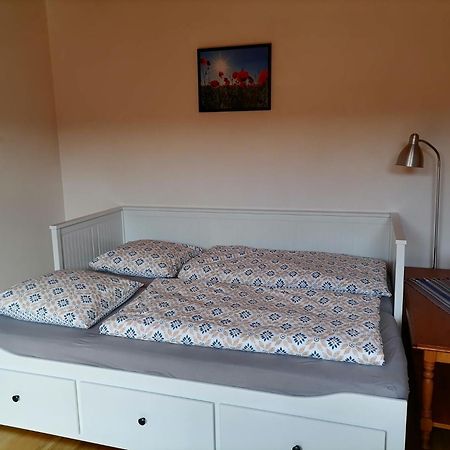 Appartement Et Terrasse Privee Ingolsheim Екстериор снимка