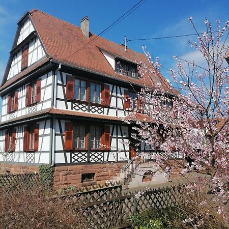Appartement Et Terrasse Privee Ingolsheim Екстериор снимка