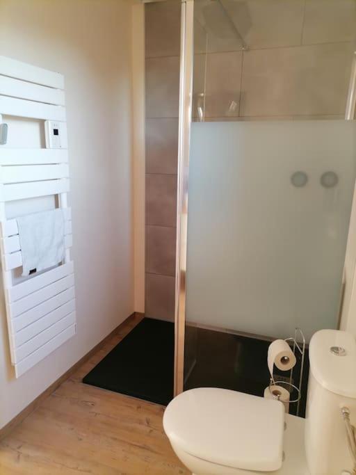 Appartement Et Terrasse Privee Ingolsheim Екстериор снимка