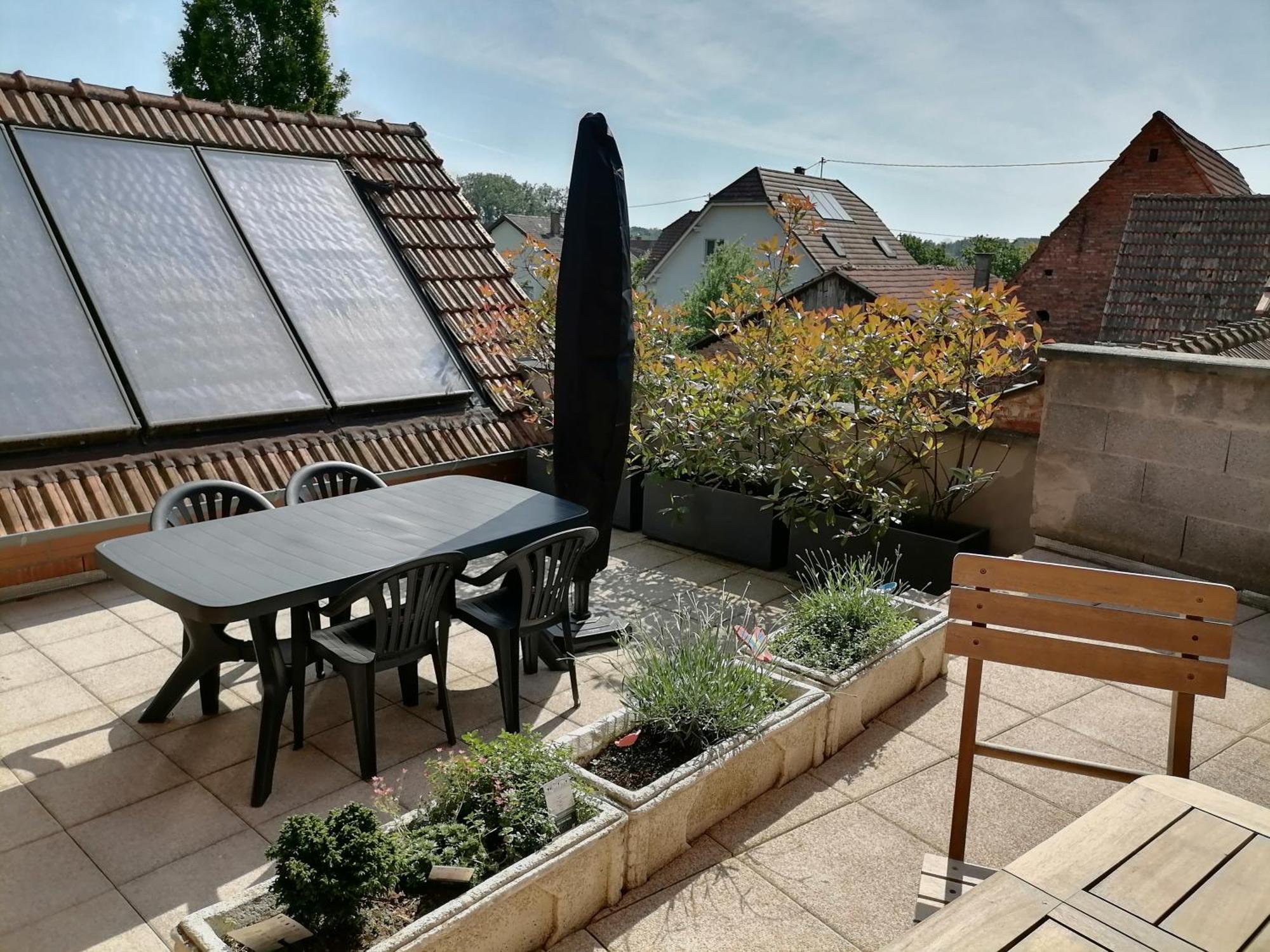 Appartement Et Terrasse Privee Ingolsheim Екстериор снимка