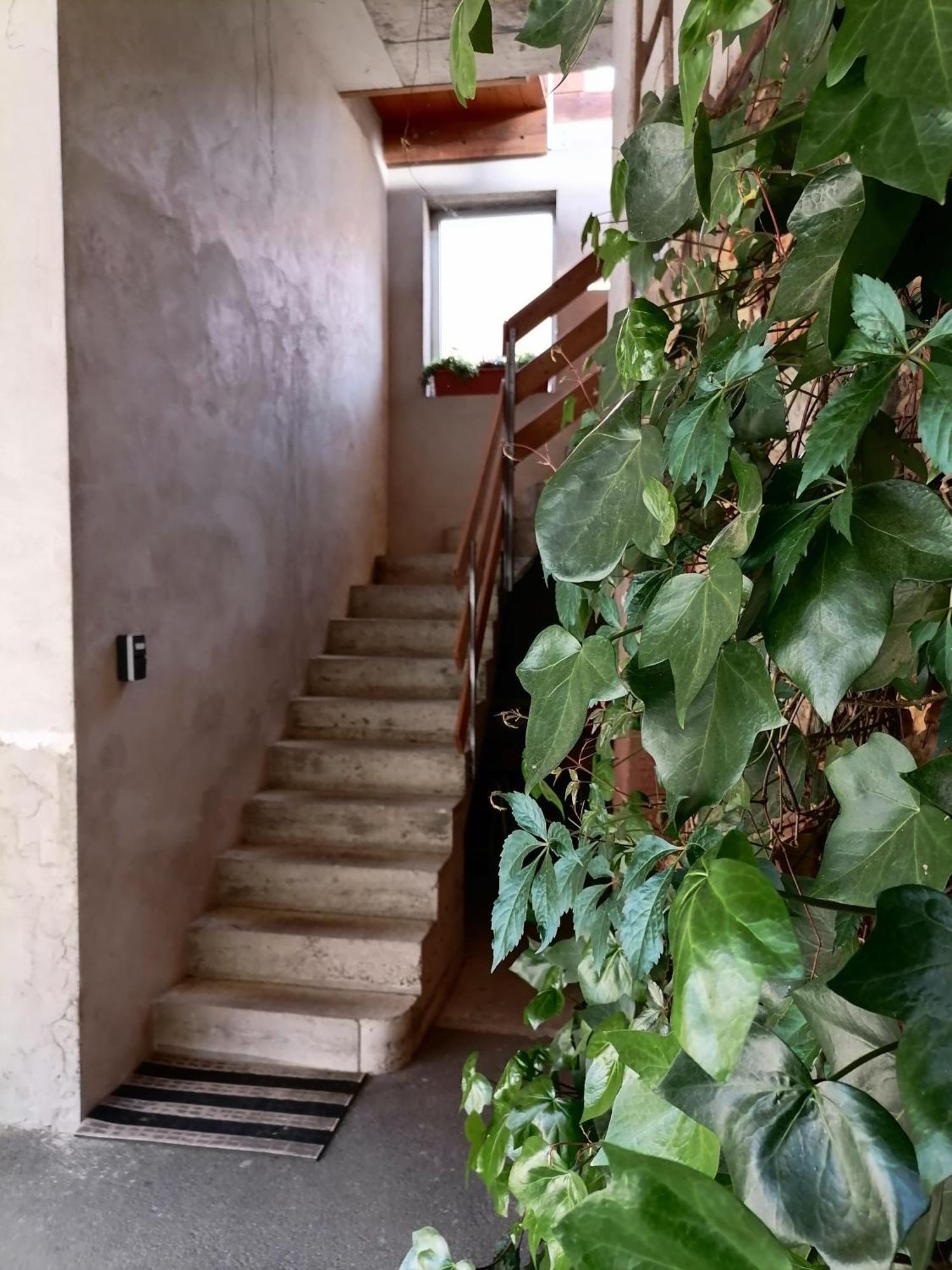 Appartement Et Terrasse Privee Ingolsheim Екстериор снимка