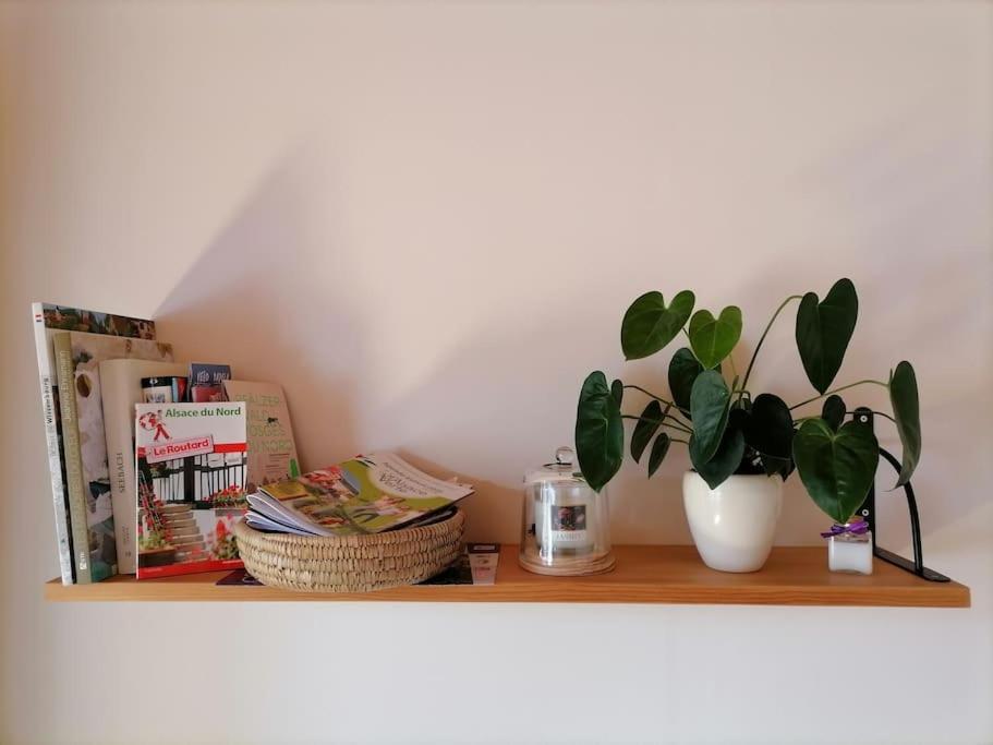 Appartement Et Terrasse Privee Ingolsheim Екстериор снимка