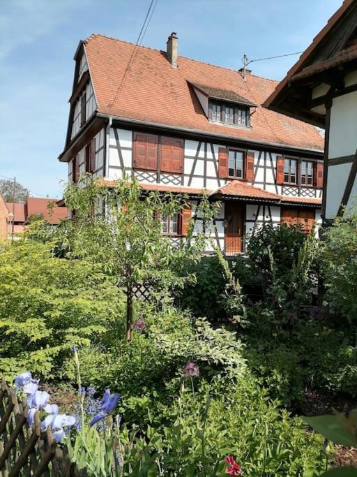 Appartement Et Terrasse Privee Ingolsheim Екстериор снимка