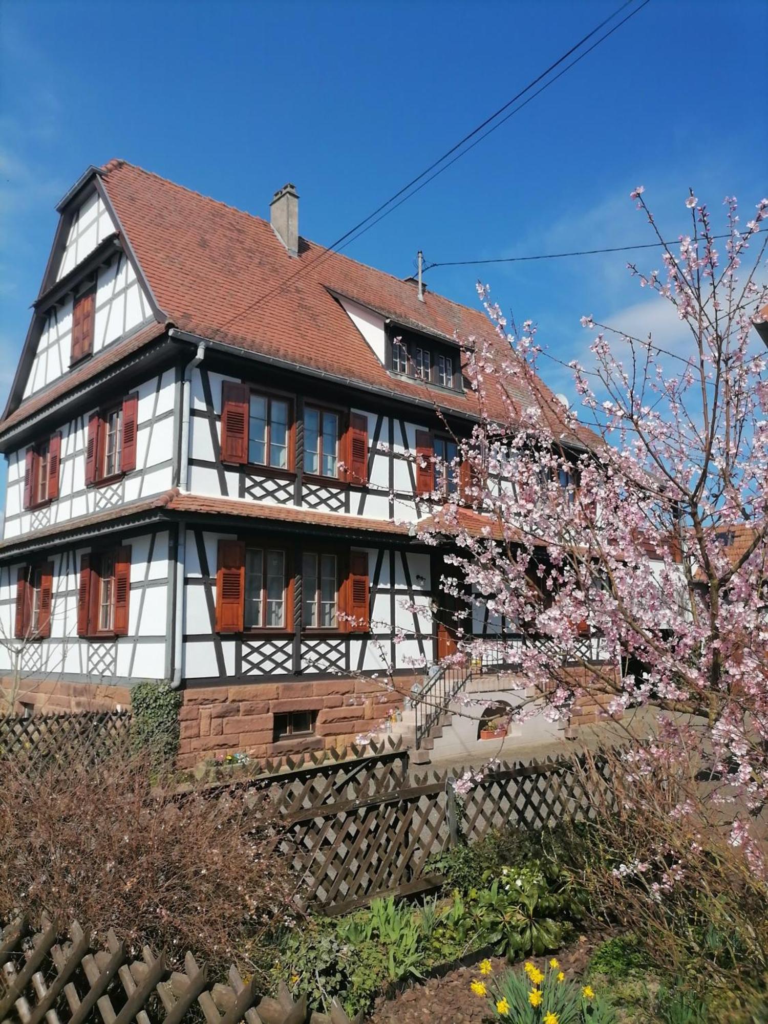 Appartement Et Terrasse Privee Ingolsheim Екстериор снимка
